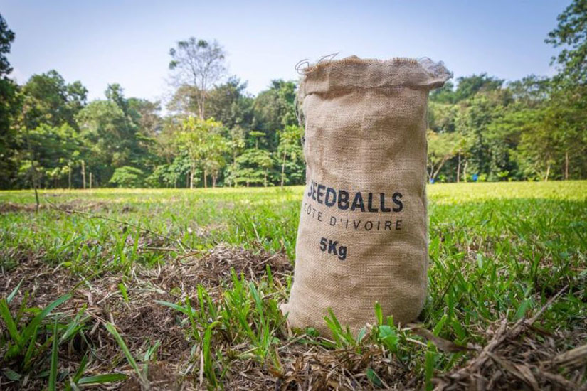 Seed balls programme reforestation Côte d'Ivoire
