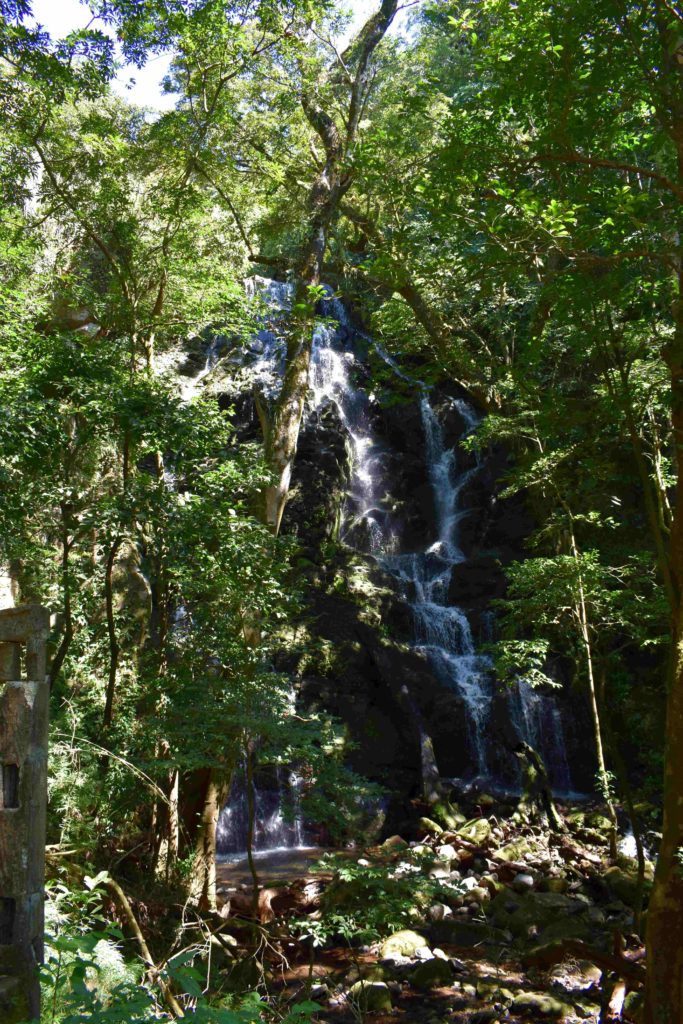Cascade parc Rincon de la vieja