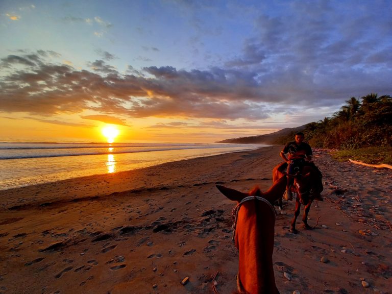 Balade à cheval sur la plage au coucher du soleil