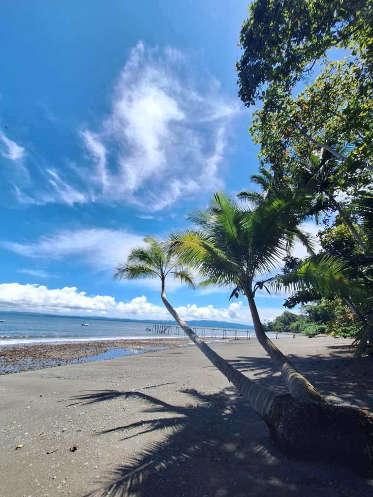 Plage Playa Nicuesa Lodge